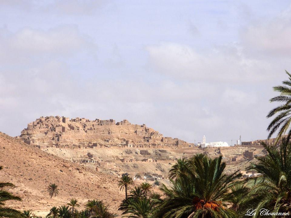 Kenza Shanīnī Exterior photo